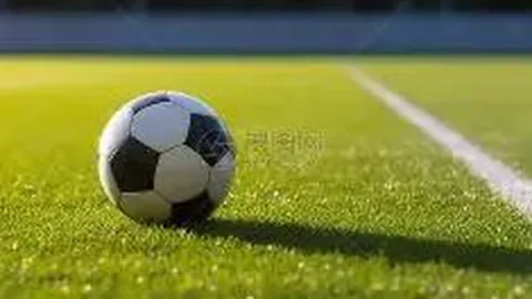 杭州助力国足冲刺世界杯关键战，多维度联动助力，共燃激情！