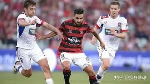 构建网络强国，探索数字化强国征程